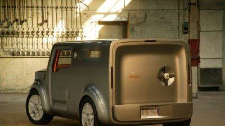 Synus