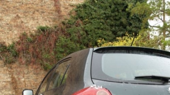 Auris