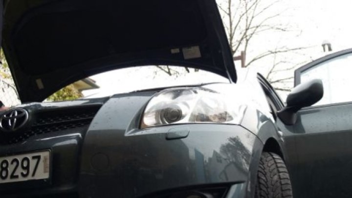 Auris