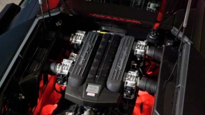 Murciélago
