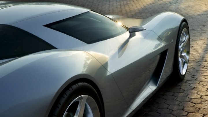 Stingray
