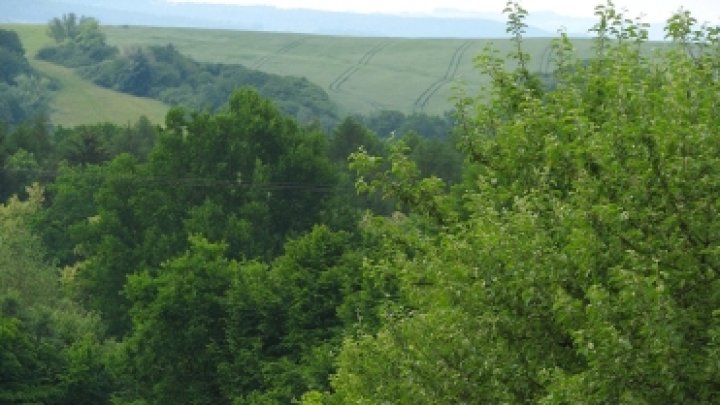 Rally Tišnov (CZE)