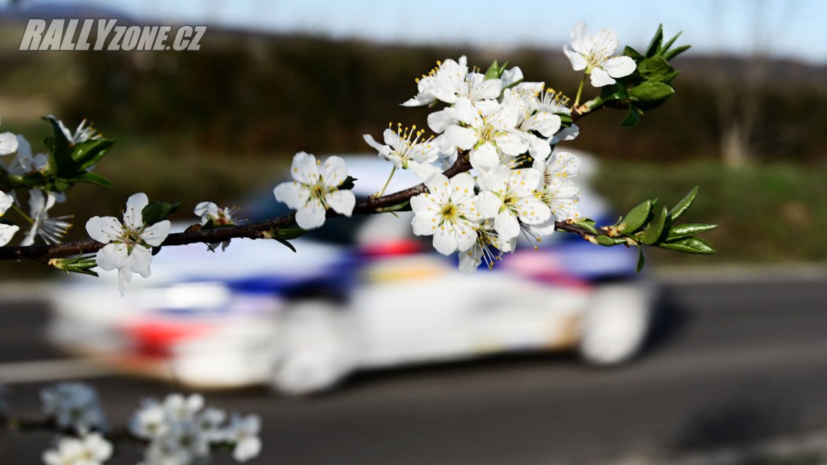 Rally Eger (HUN)