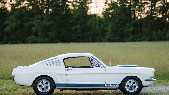 Shelby GT350