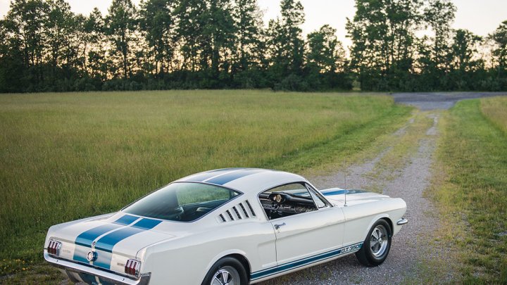 Shelby GT350