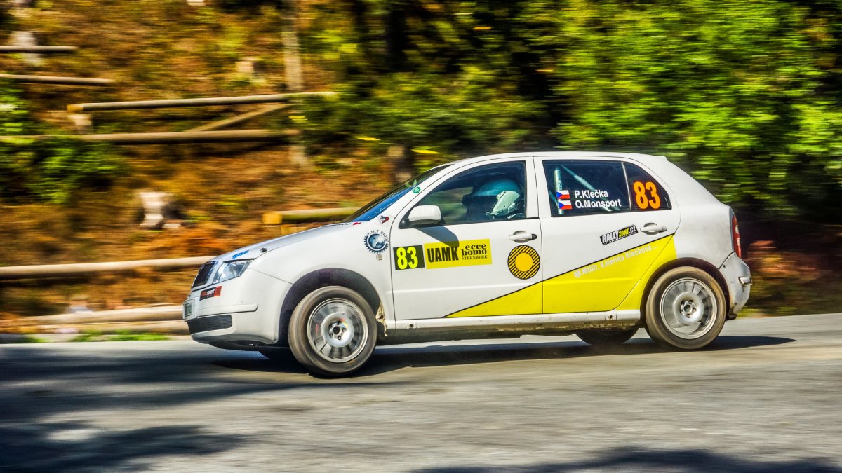 Rally Jeseníky (CZE)