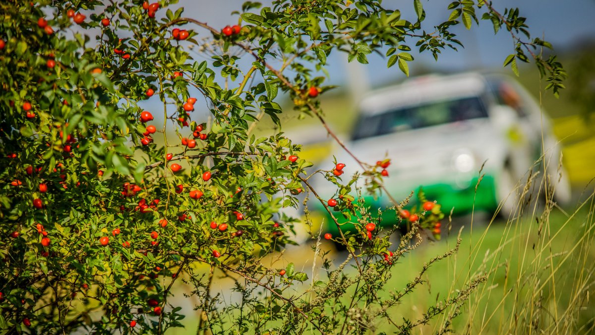 Rally Jeseníky (CZE)