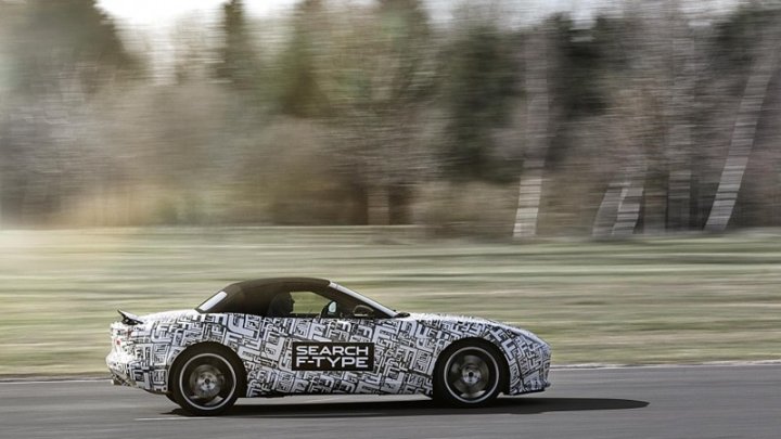 Jaguar