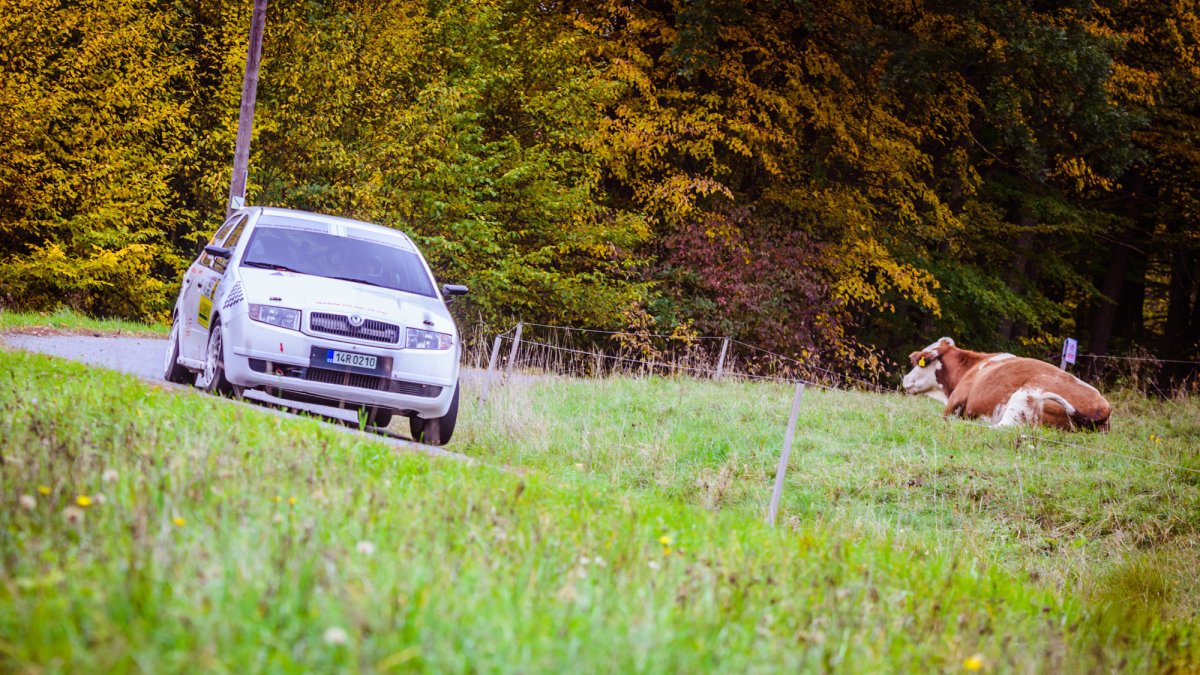 Rally Vsetín (CZE)