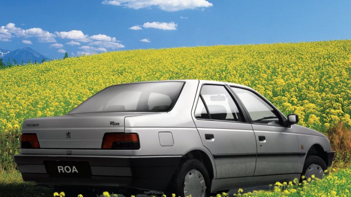 Peugeot ROA