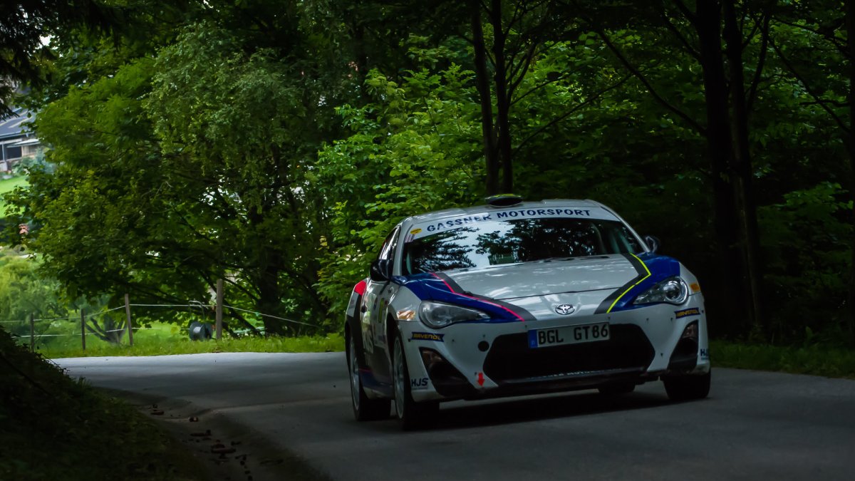 Rally Weiz (AUT)