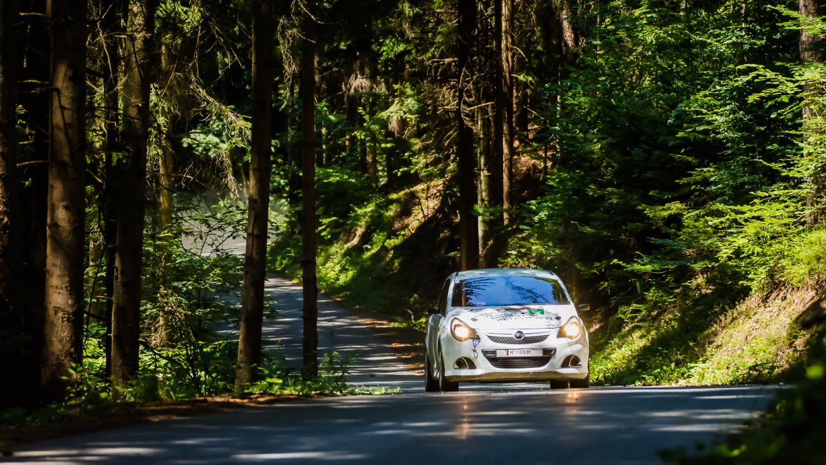 Rally Weiz (AUT)