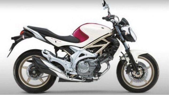 Suzuki Gladius - novinka pro rok 2009
