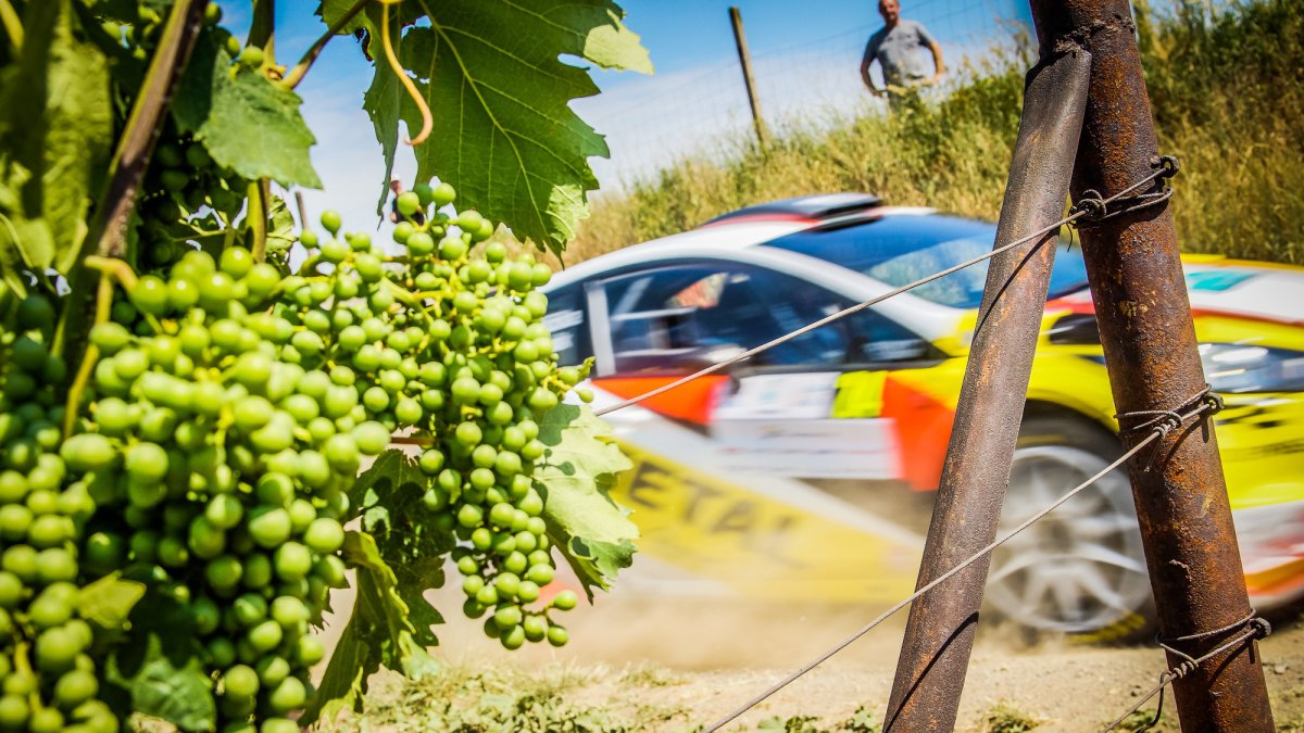 Rally Hustopeče (CZE)
