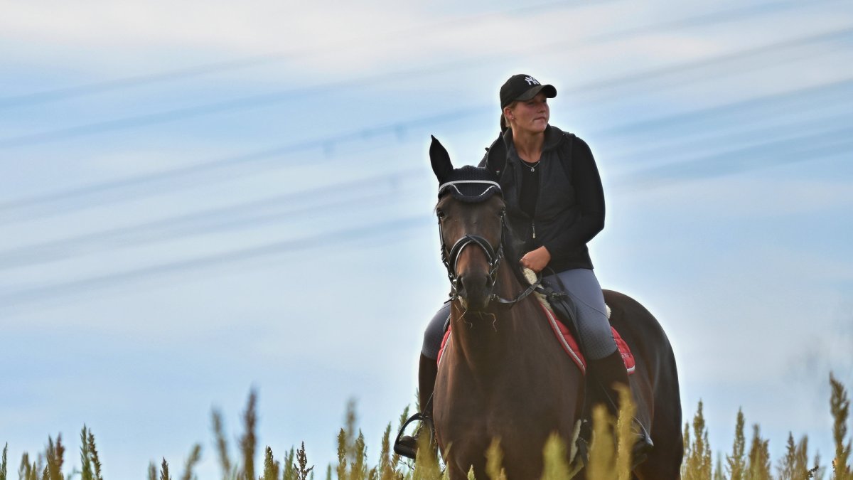Barum Czech Rally Zlín (CZE)